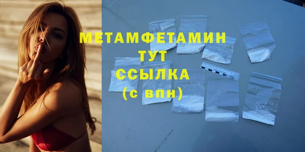 прущие грибы Волосово