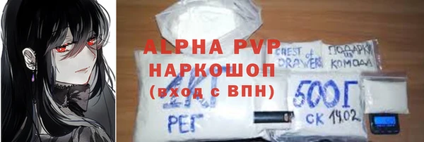 прущие грибы Волосово